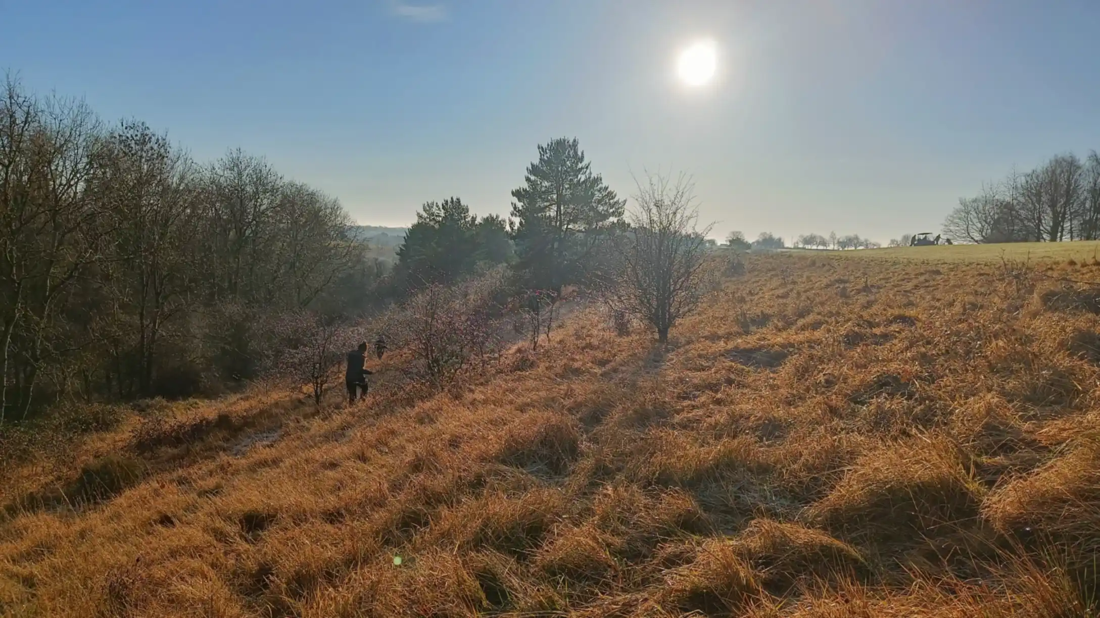 Early morning sun over a golden grassland. Small figure on the slope