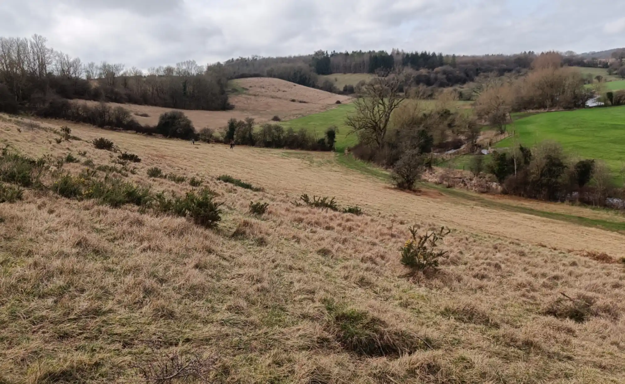 A valley landscape with steep grassland in the foreground and winding river on the valley floor. Green fields in the background
